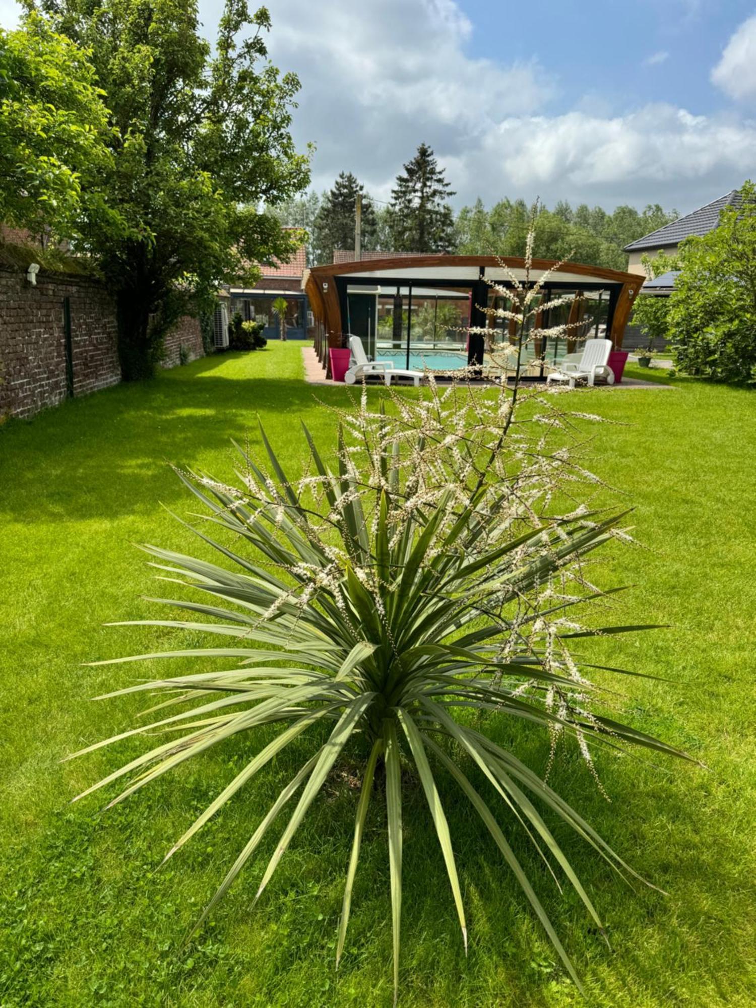 Gite Avec Piscine Lestrem Екстер'єр фото